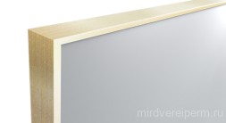 Дверь с зеркалом