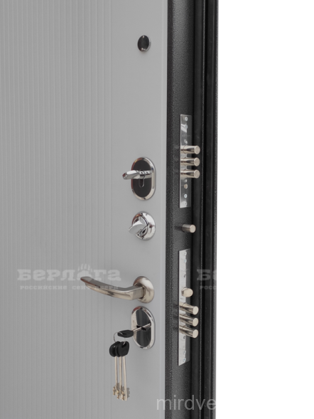 СЕЙФ-ДВЕРЬ ТРИНИТИ (АС) РАШМИ СИЛК МАУС / МДФ СУЛТАН ЭКО СОФТ ГРАФИТ