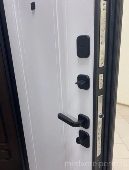 Luxor 2МДФ Горизонталь Нео