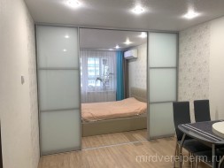 МЕЖКОМНАТНАЯ ПЕРЕГОРОДКА ИЗ ПРОФИЛЯ