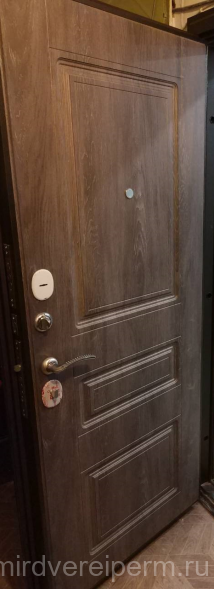 Страж 3К Броня 10 см (Антик серебро, Скол Дуба Белый/Дуб Шале)