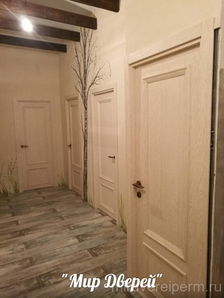  ДГ Вероника 01