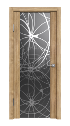 Межкомнатная дверь Триплекс с рисунком