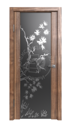 Межкомнатная дверь Триплекс с рисунком