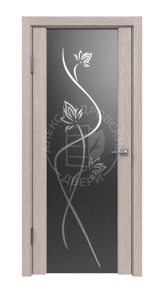 Межкомнатная дверь Триплекс с рисунком