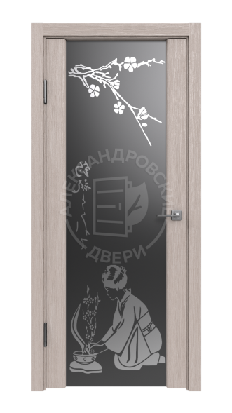 Межкомнатная дверь Триплекс с рисунком