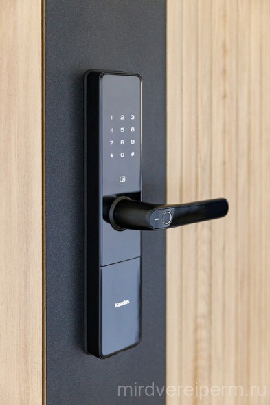 CYBER START W3 - G 301Двери с электронным замком