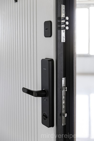 CYBER START W3 - G 301Двери с электронным замком