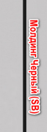 Турин_554АПП Молдинг SB.21/ Молдинг SC.21