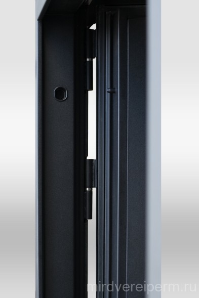 Sidoorov S100 3КМ Black Revolution