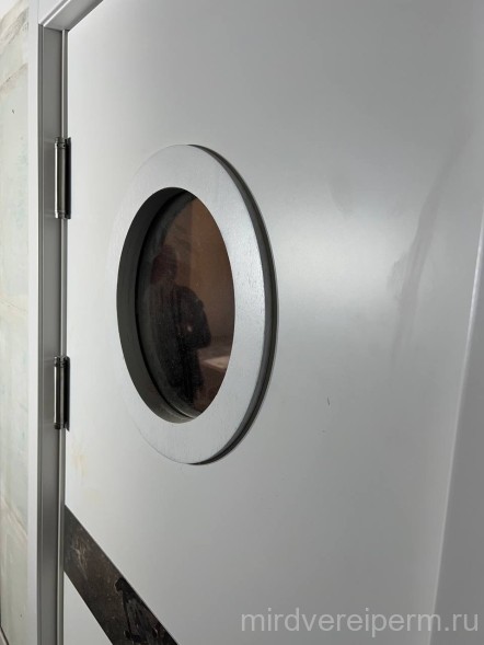 Маятниковая дверь 