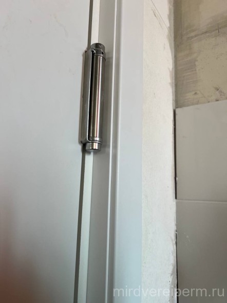 Маятниковая дверь 