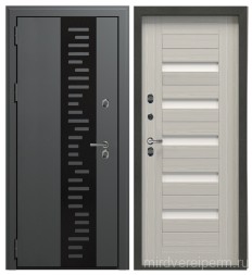 Дверь BERSERKER TERMAX  402 (ТТ2 G 301)